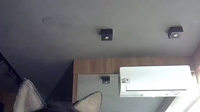 Skinny-Kitten online show from November 13, 2025, 2:38 pm