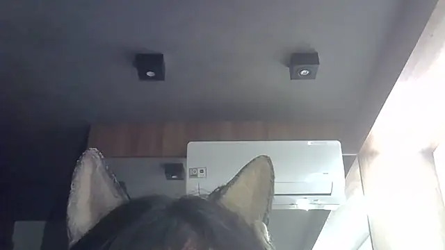 Skinny-Kitten online show from February 11, 2026, 11:21 pm