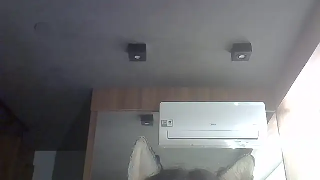 Skinny-Kitten online show from February 15, 2026, 7:51 am