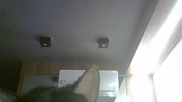 Skinny-Kitten online show from May 17, 2026, 11:17 am