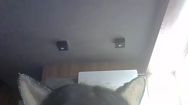 Skinny-Kitten online show from May 27, 2026, 4:37 pm