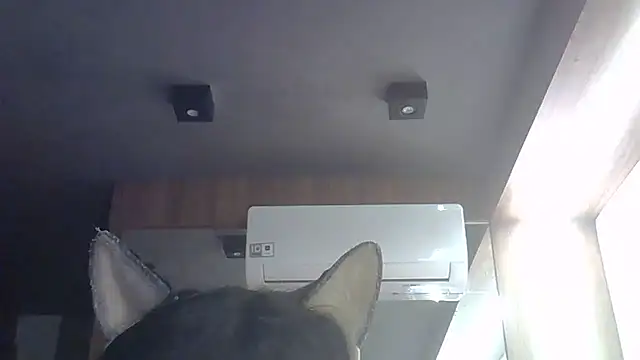 Skinny-Kitten online show from May 28, 2026, 4:59 pm