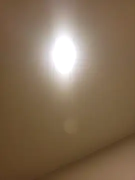 Snapshot of lofibunni chatting on February 14, 2026, 12:46 pm lofibunni online show from February 14, 2026, 12:46 pm