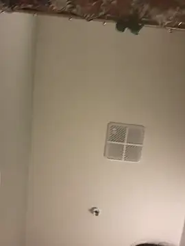 Snapshot of lofibunni chatting on April 11, 2026, 5:17 pm lofibunni online show from April 11, 2026, 5:17 pm