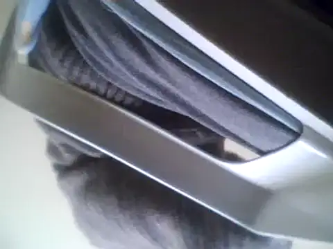 Snapshot of bestofyalcinturkey chatting on March 3, 2025, 8:38 am bestofyalcinturkey online show from March 3, 2025, 8:38 am