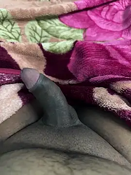 Snapshot of Honeydick7 chatting on November 4, 2025, 6:07 pm Honeydick7 online show from November 4, 2025, 6:07 pm