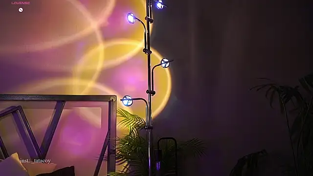 TataCoy online show from February 27, 2026, 4:07 pm