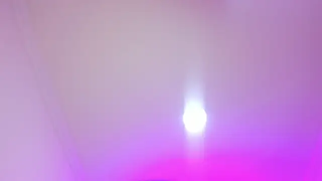 Snapshot of nalalye_cruzz_ chatting on April 5, 2026, 3:04 am nalalye cruzz online show from April 5, 2026, 3:04 am