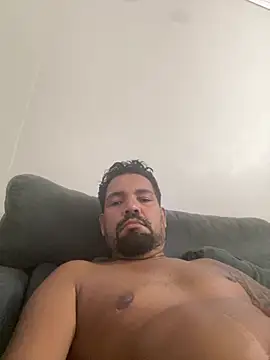 Snapshot of adgato chatting on February 20, 2026, 1:13 am adgato online show from February 20, 2026, 1:13 am