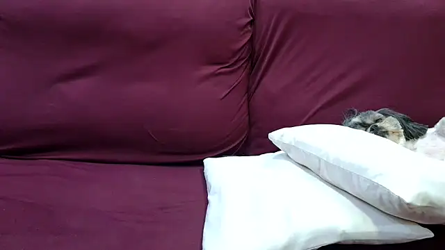 Snapshot of Kellynha_Sweet chatting on December 18, 2025, 2:06 am Kellynha Sweet online show from December 18, 2025, 2:06 am