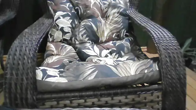 Snapshot of Kellynha_Sweet chatting on December 21, 2025, 1:13 am Kellynha Sweet online show from December 21, 2025, 1:13 am