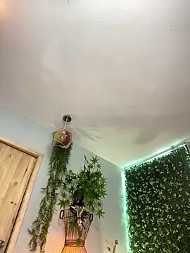 VickyJackson  online show from February 26, 2026, 5:45 pm