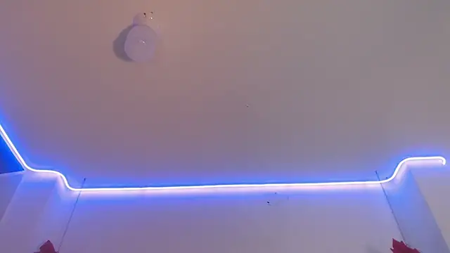 DaMikaela  online show from December 18, 2024, 9:29 pm