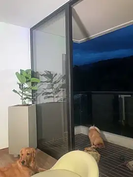 Helenbronwx online show from December 22, 2024, 11:09 pm