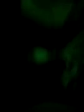 Vuyokaki online show from November 30, 2025, 2:37 am