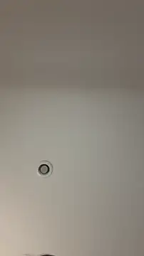 MichelleFerry  online show from December 21, 2025, 6:31 am