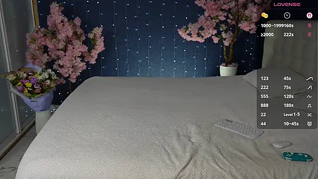 Snapshot of -Mirror-Girl- chatting on February 19, 2026, 5:47 am -Mirror-Girl- online show from February 19, 2026, 5:47 am