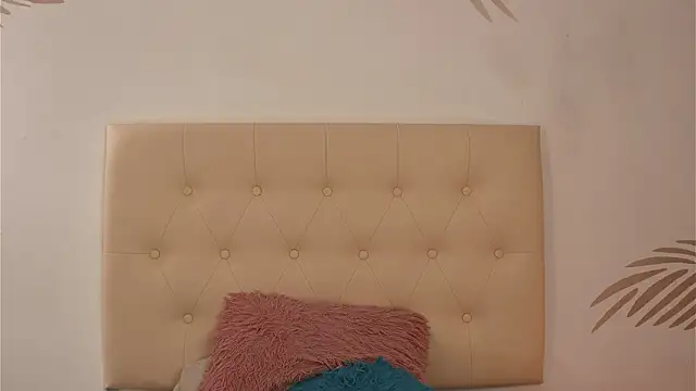 Snapshot of alix_bay chatting on January 31, 2026, 7:11 pm alix bay online show from January 31, 2026, 7:11 pm