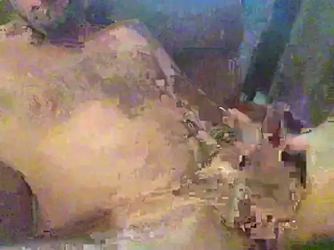 timmy88809 online show from February 18, 2026, 4:47 pm