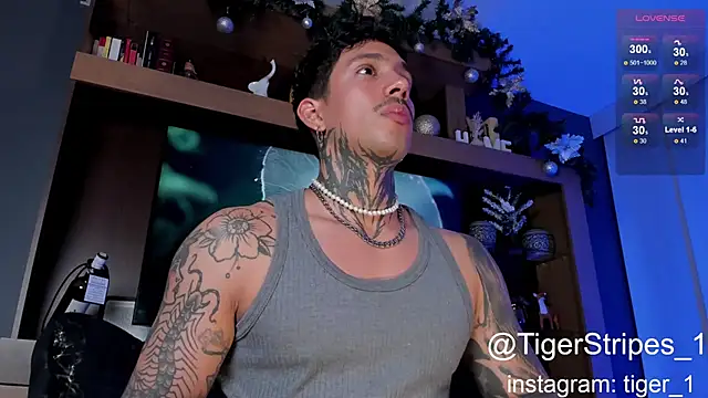 Snapshot of TigerStripes1_ chatting on January 4, 2025, 4:44 am TigerStripes1 online show from January 4, 2025, 4:44 am