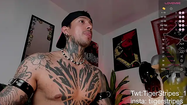 TigerStripes1  online show from March 24, 2026, 2:55 pm