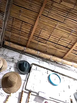 kvr27 online show from November 3, 2025, 11:00 am