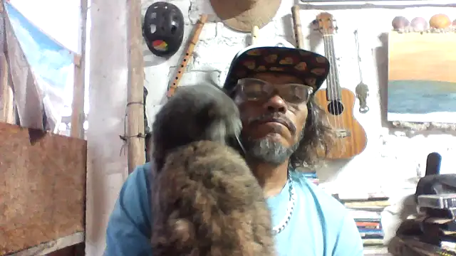 kvr27 online show from April 16, 2026, 11:33 am