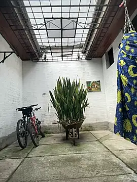 oliver price1 online show from April 6, 2026, 2:40 pm