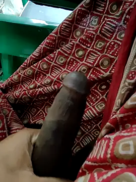 Kolkata   Boy online show from January 11, 2026, 3:22 am